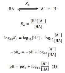 Henderson Hasselbach Denklemi